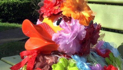 Woodlands Hospice Cancel Duck Race Due To Coronavirus