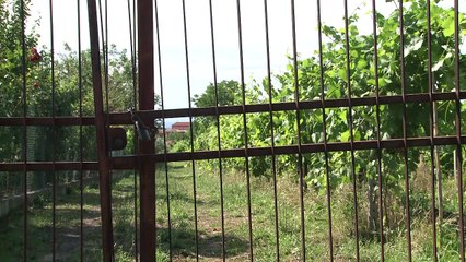 Giovanna Marini, la voix des invisibles