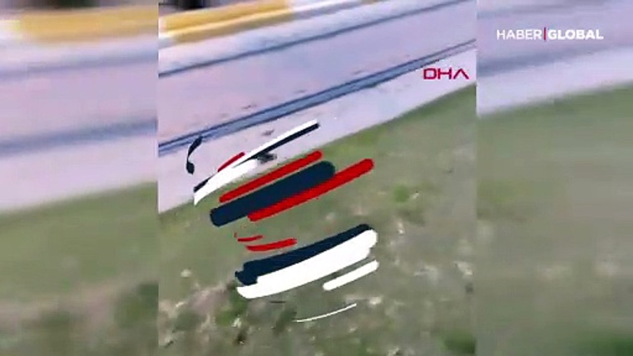 Farenin kediye kafa tuttuğu anlar kamerada