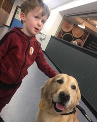 Léo, un chien de thérapie sauve la vie d'un petit garçon !