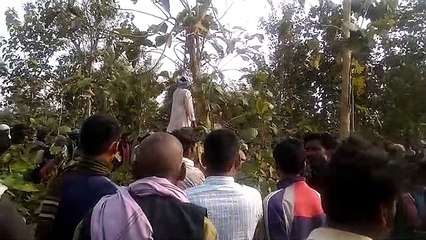 गोण्डाः जंगल में पेड़ से लटकता मिला युवक का शव, हत्या या आत्महत्या ?