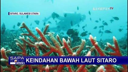 Salah Satu Destinasi Wisata Menyelam, Sitaro Menyimpan Sejuta Keindahan Alam Bawah Laut