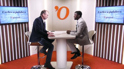 «La réponse aux problèmes du Sahel ne peut pas être que militaire» assure Ladji Ouattara (enseignant-chercheur)