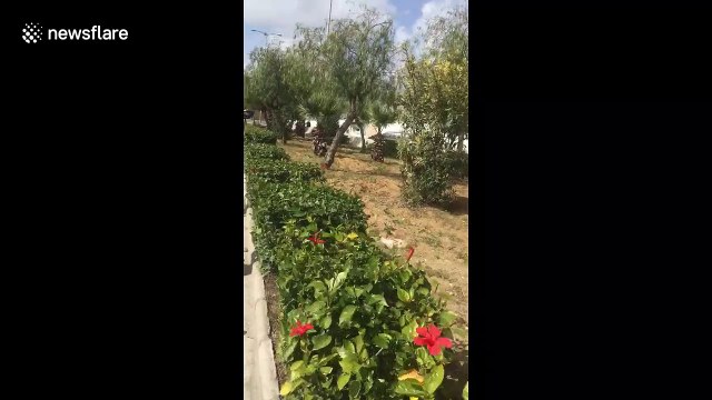 Alleged suicide bombers 'blows themselves up' close to US embassy in Tunisia