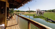 Royaume-Uni : premier aperçu du West Midland Safari Park avec vues sur les éléphants depuis les chambres