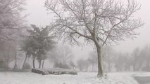 Avisos por olas, viento y nevadas en el norte