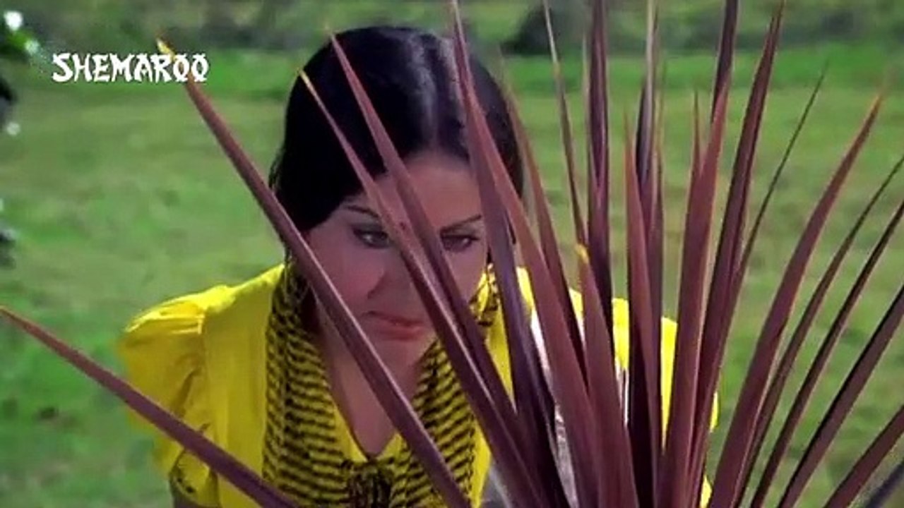 Pal Pal Dil Ke Paas Tum Rehti Ho - Kishore Kumar