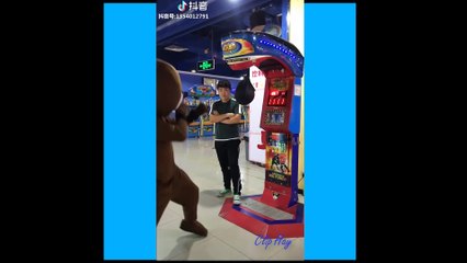 Funny Video in Tik Tok - Funny  Brown Tiddy Bear- Gấu TROLL
