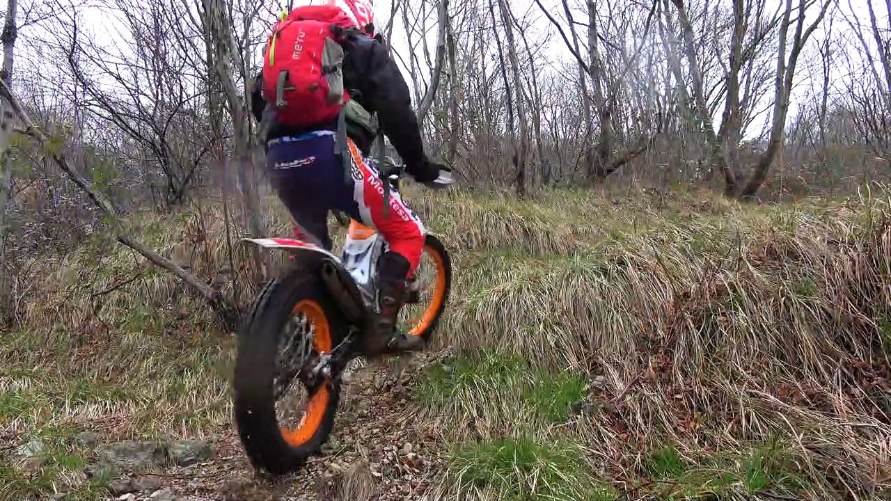 SOLINGO TRIAL  2020