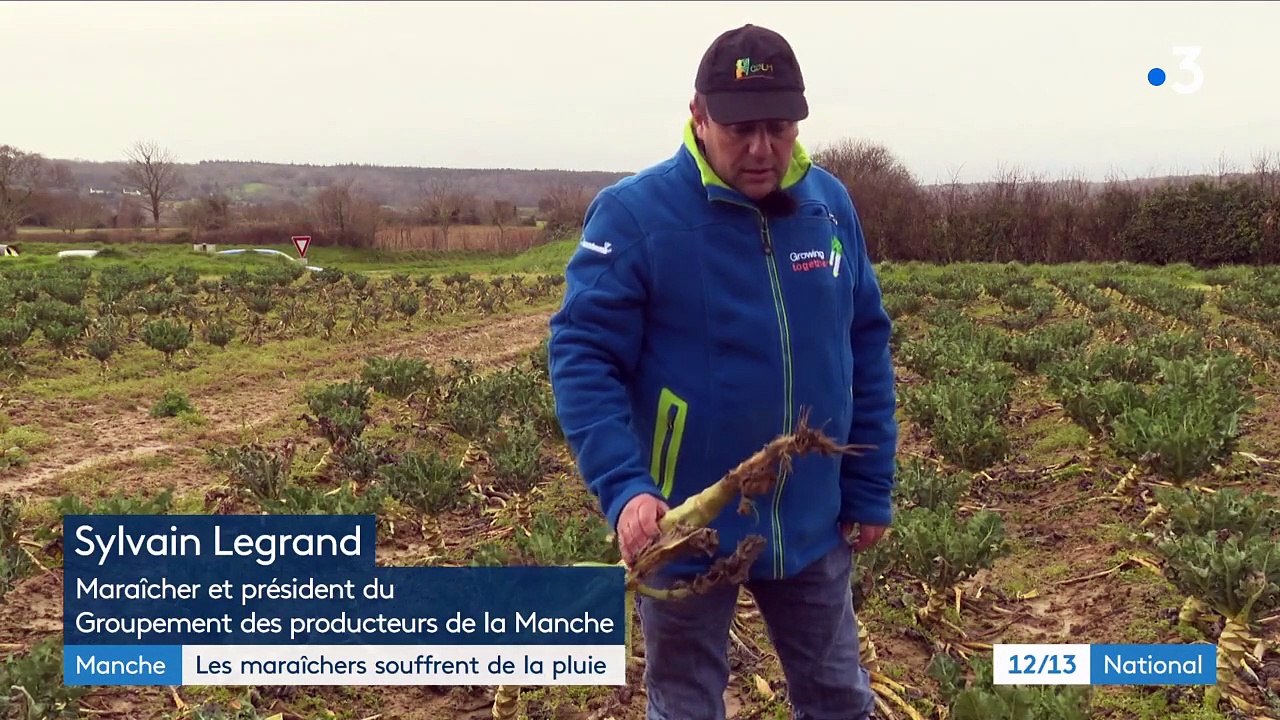 Agriculture : les maraîchers normands souffrent des intempéries