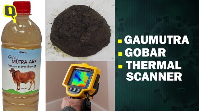 Gaumutra and Gobar: Ministers' Bizarre Solutions For Coronavirus