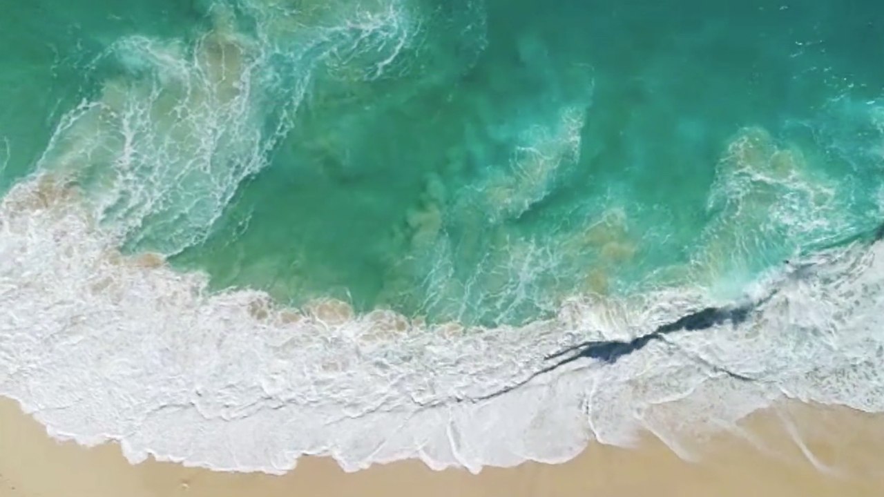 7 Tipps für jeden, der die Meere sauber halten will