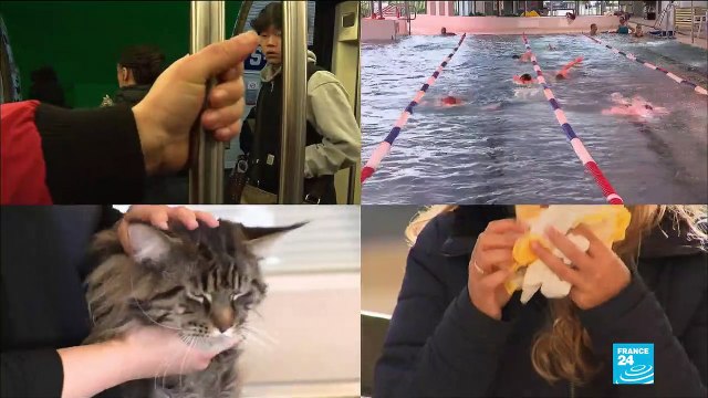 Toutes les idées fausses sur les voies de transmission du Coronavirus