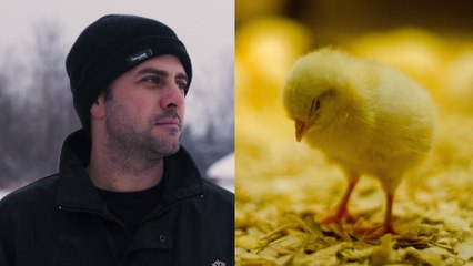 Jean-Gabriel Fortier - Élever Par Espoir