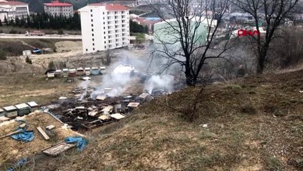 Arı kovanları yandı