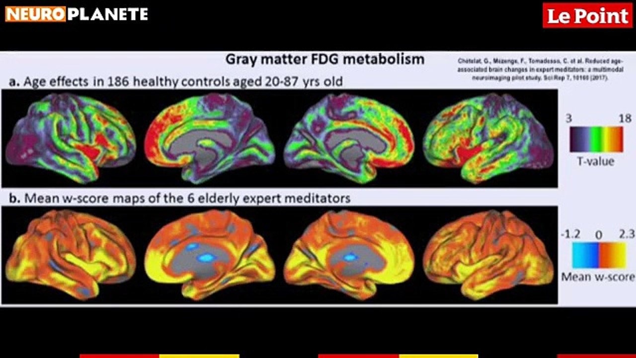 Neuroplanète 2020 - Chamanisme, bouddhisme et cerveau : ce que dit la science
