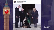 Social Media Minute: William and Kate Meeting the Irish President (and His Dog!)