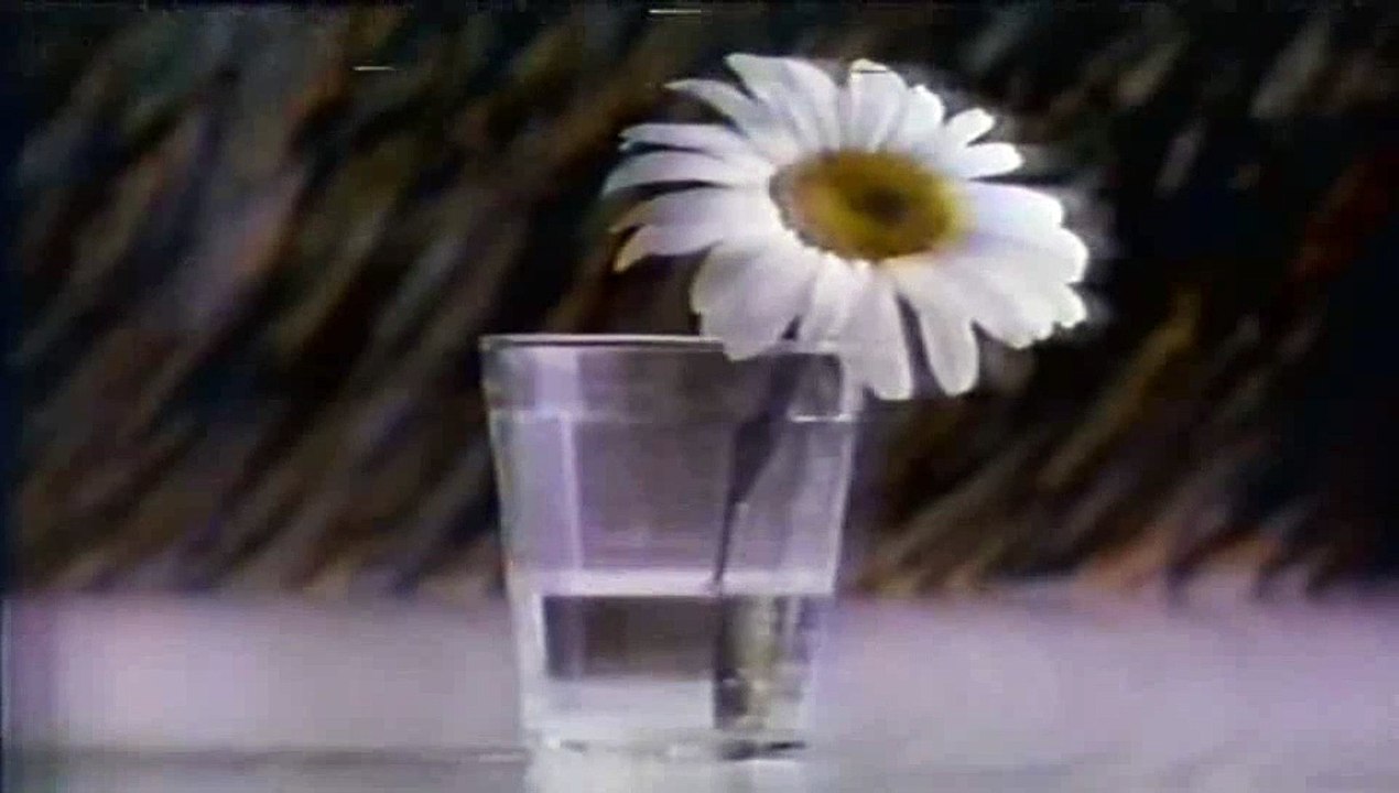 Campanha Soro do Caseiro - CNBB 1988