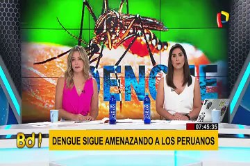 Dengue: epidemia mató a 31 personas y ha contagiado a casi 5500 desde el 2019