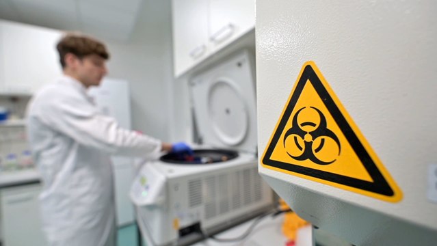 OMS afirma estar más cerca de tener vacunas contra el coronavirus