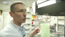 Comment certains pharmaciens fabriquent du gel hydroalcoolique