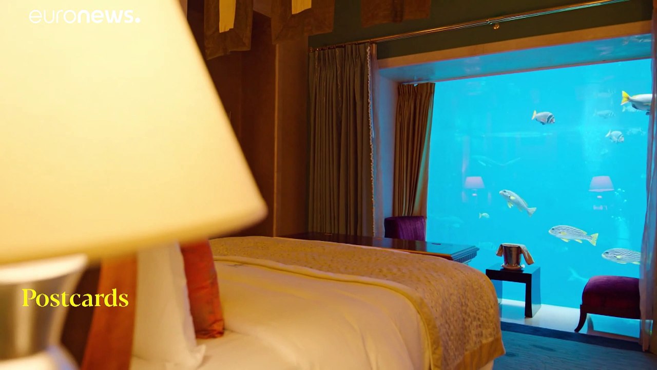 Dubais Palmeninsel blüht auf