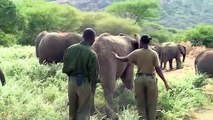 Santuário de elefantes contrata mulheres