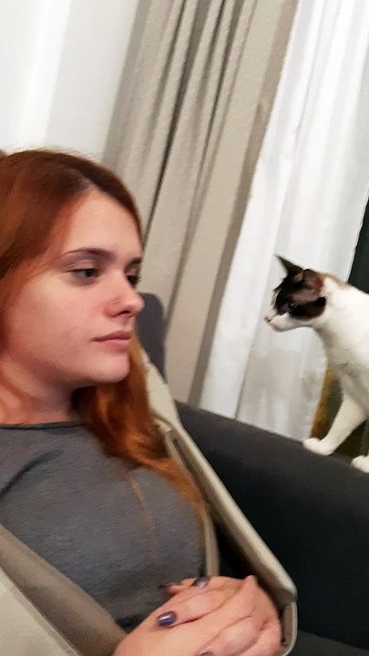 Cat Scared of Massager Leaps in Fear