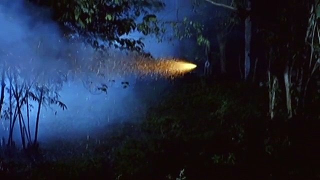 Cardo, isinama sa kanyang pagtalon si Onyok