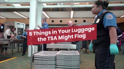 The TSA And Your Luggage