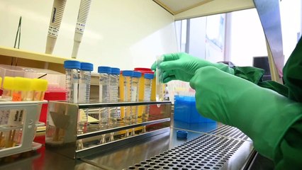 Brasil tem 13 casos confirmados de Covid-19