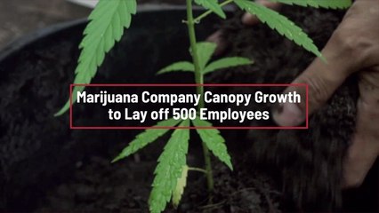 Canopy Growth Is Shrinking