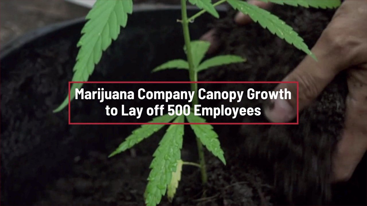 Canopy Growth Is Shrinking