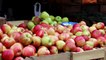 Climate Change Could Make Apples Toxic