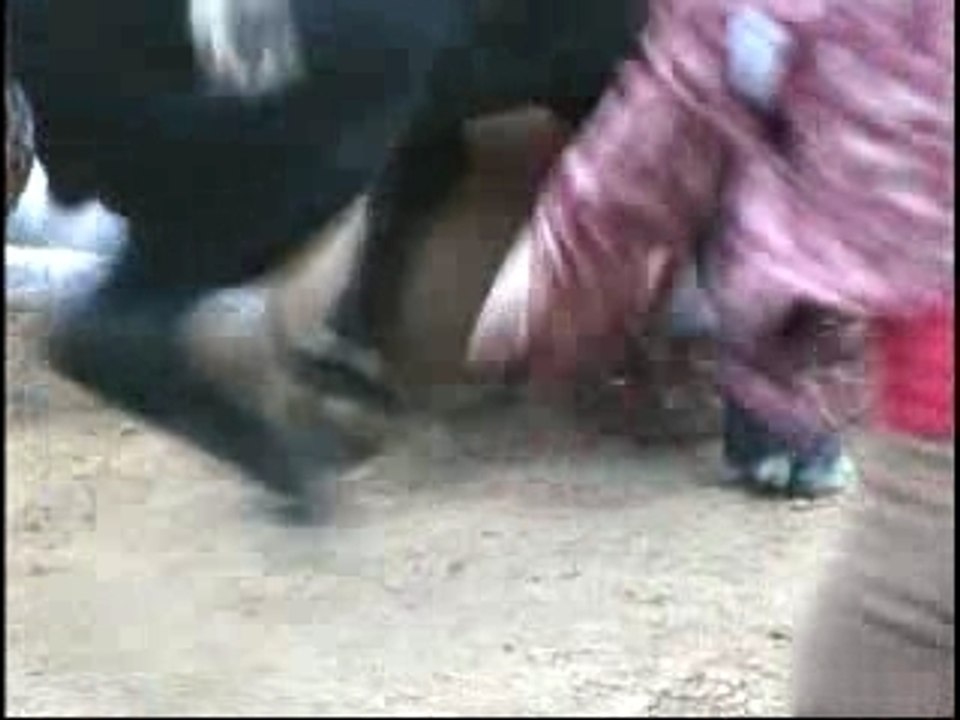 Toros a mort