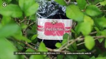 TERMURAH!!! +62 813-2666-1515_Beli Souvenir Untuk Acara Sunatan di Kudus