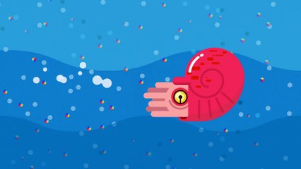 Understanding Light: Science Book for Grade 3 📘