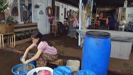 Alyana, nagsimula na manirahan sa isla para kay Cardo