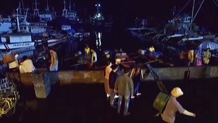 Alyana, nagdesisyon na samahan si Cardo sa Cebu