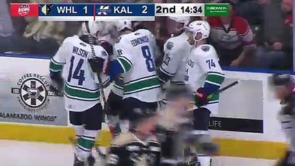 Game Recap - Wheeling Nailers at Kalamazoo Wings