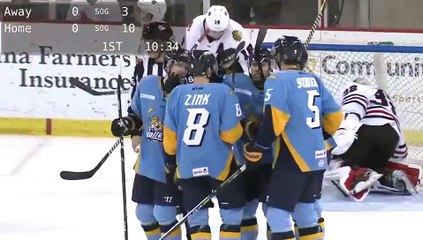 Game Recap - Toledo Walleye at Indy Fuel