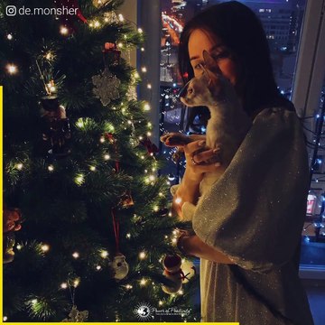 funny cats Cornish Rex Cats family kitten funny videos 2020