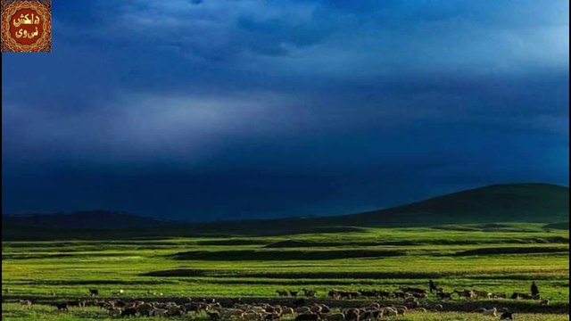 Deosai Ky Medan Skardu Gilgit-Baltistan Pakistan Documentary