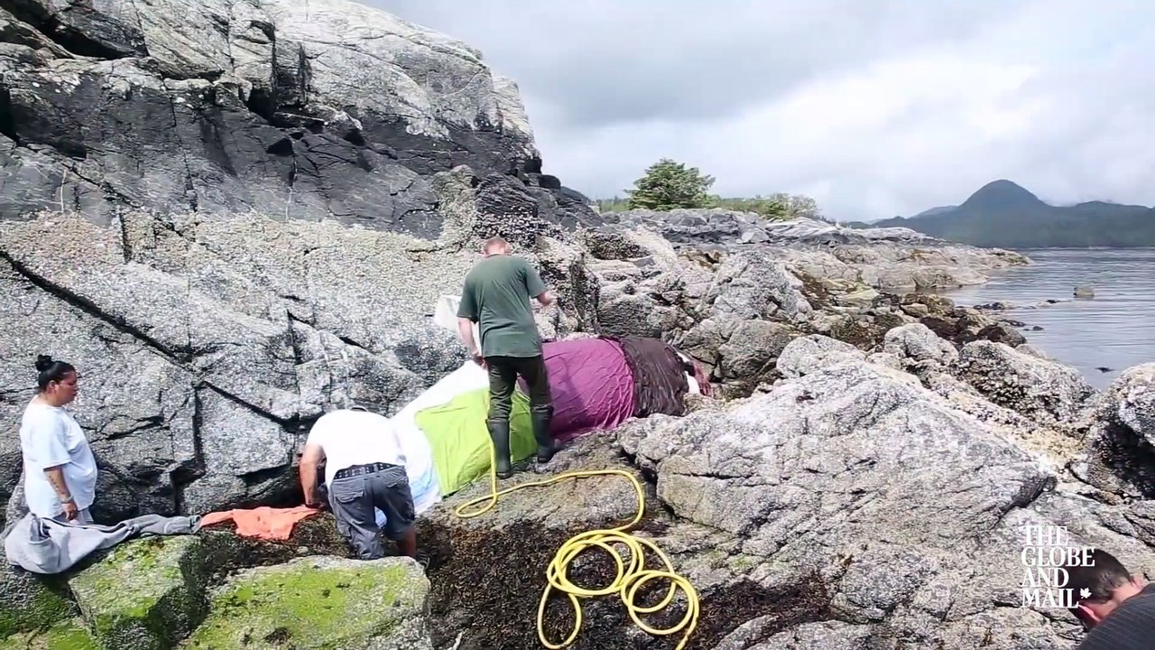 WHALE RESCUE- Saving a stranded Orca in B.C.
