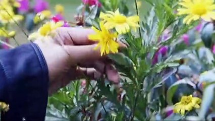 Peter at Gloria, namasyal sa Baguio