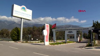 Antalya 10 milyon yavru balık üretilecek