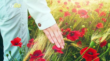 Spring Sorrows! Why Spring Isn’t All That Great