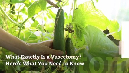 What Exactly Is a Vasectomy? Here's What You Need to Know