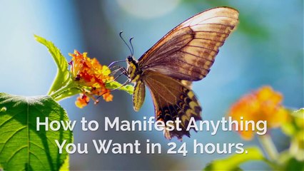 How To Manifest Anything You Want in 24 Hours