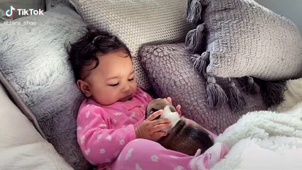 Buby playing cat and dog